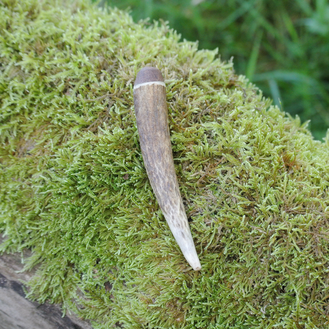 Red Deer Kilt Pin