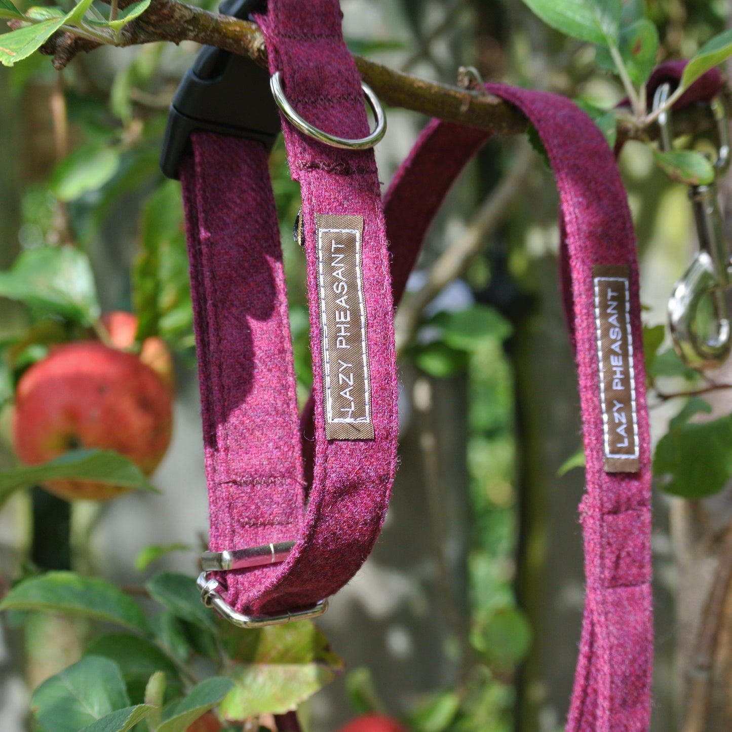 Tweed Dog Collar and Lead Gift Set - Raspberry