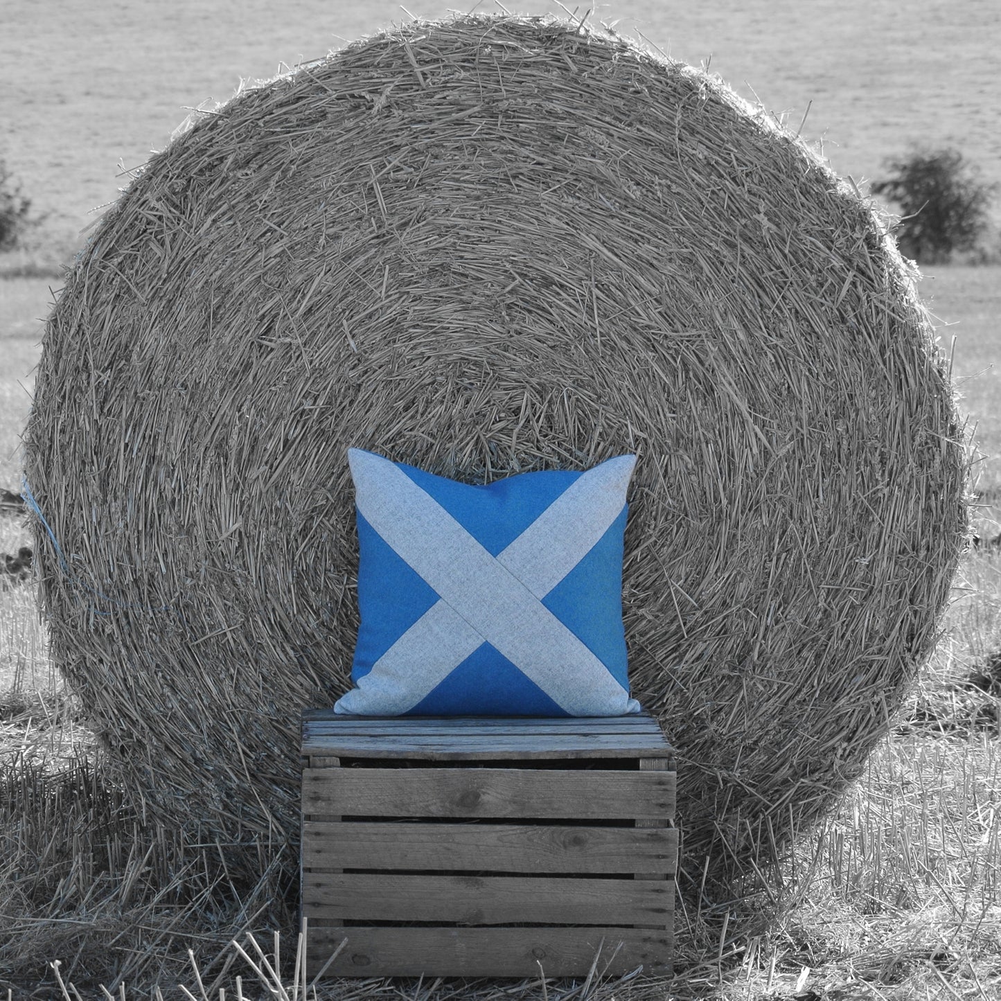 Saltire Smash - Blue