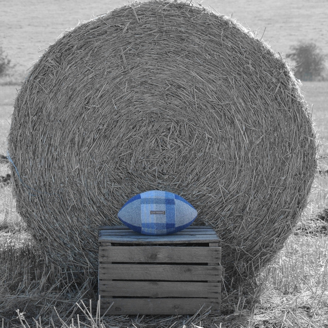 Rugby Ball Cushion - Blues