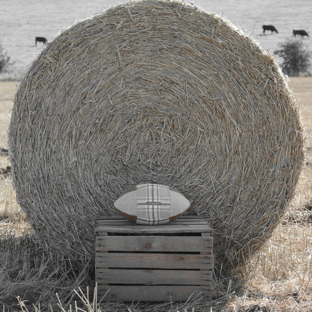 Rugby Ball Cushion - Apsley