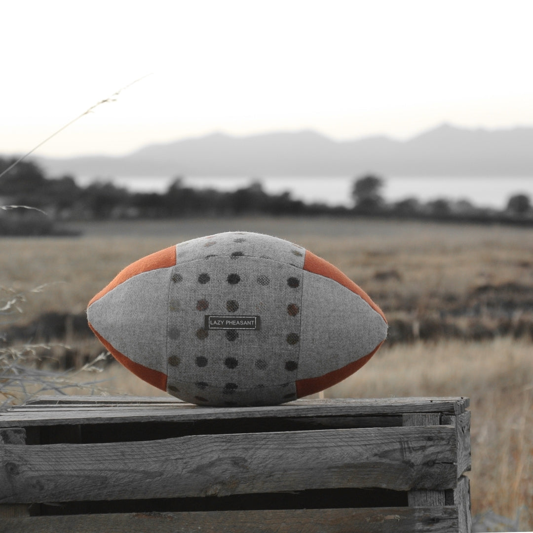 Rugby Ball Cushion - Spot On