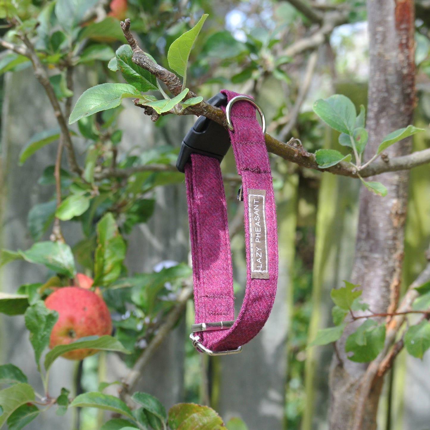 Tweed Dog Collar - Raspberry