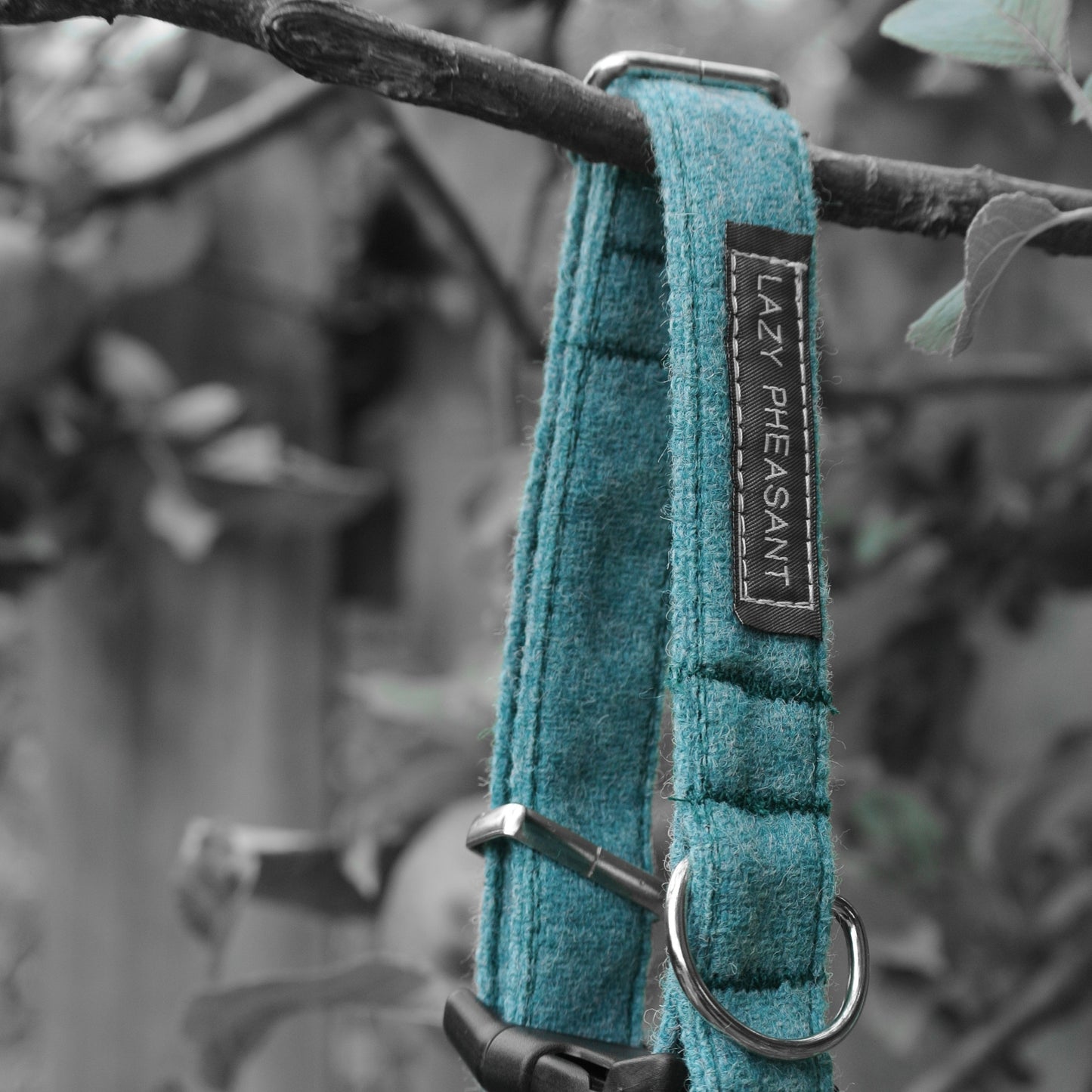 Tweed Dog Collar - Turquoise