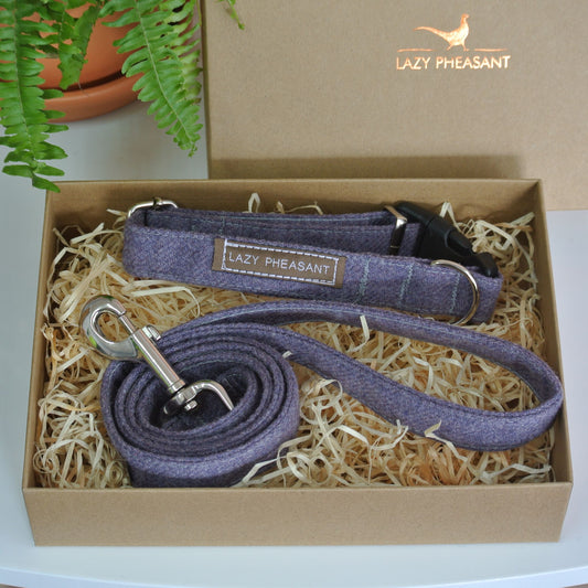 Purple dog collar and leash set in a box with 'Lazy Pheasant' branding.