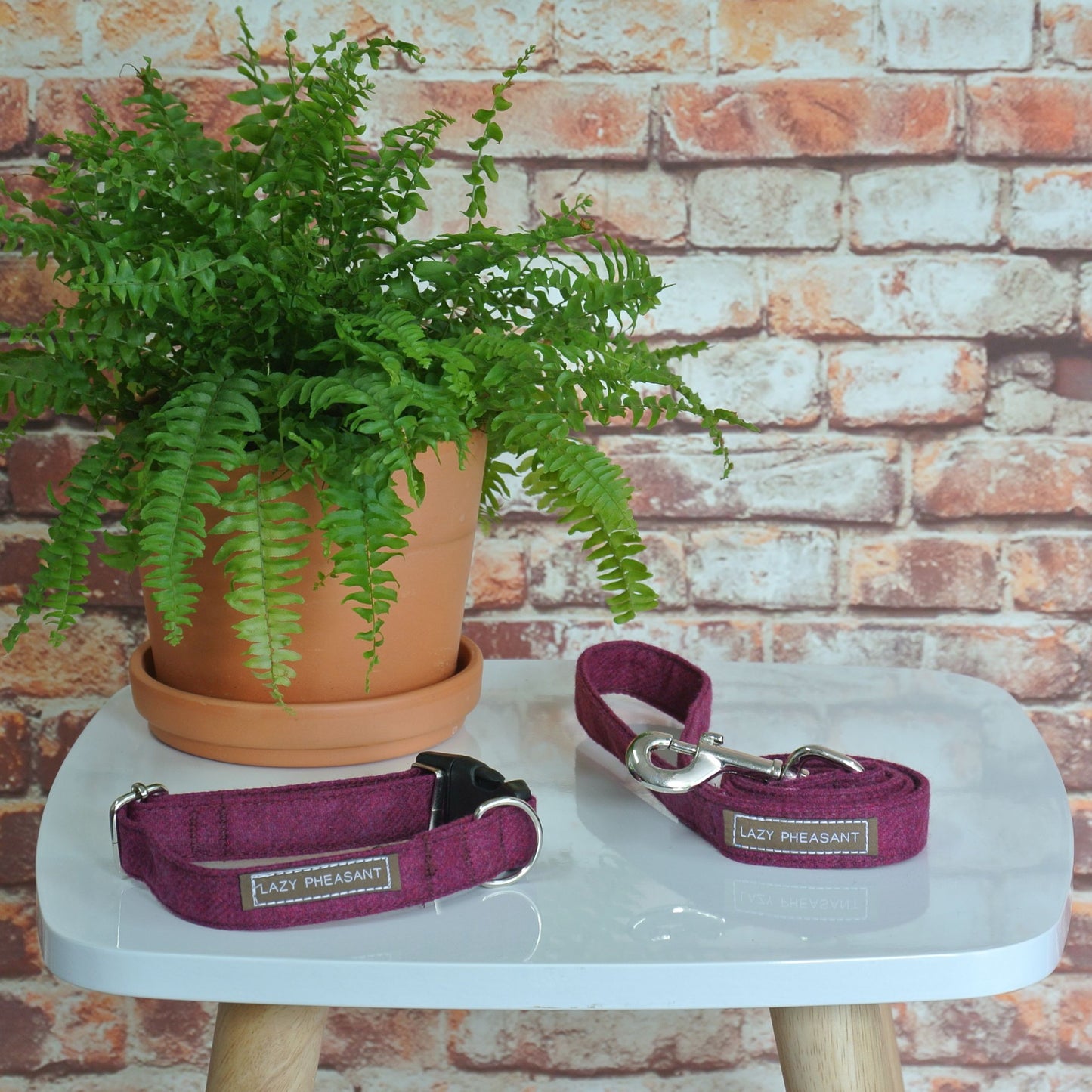 Tweed Dog Collar and Lead Gift Set - Raspberry