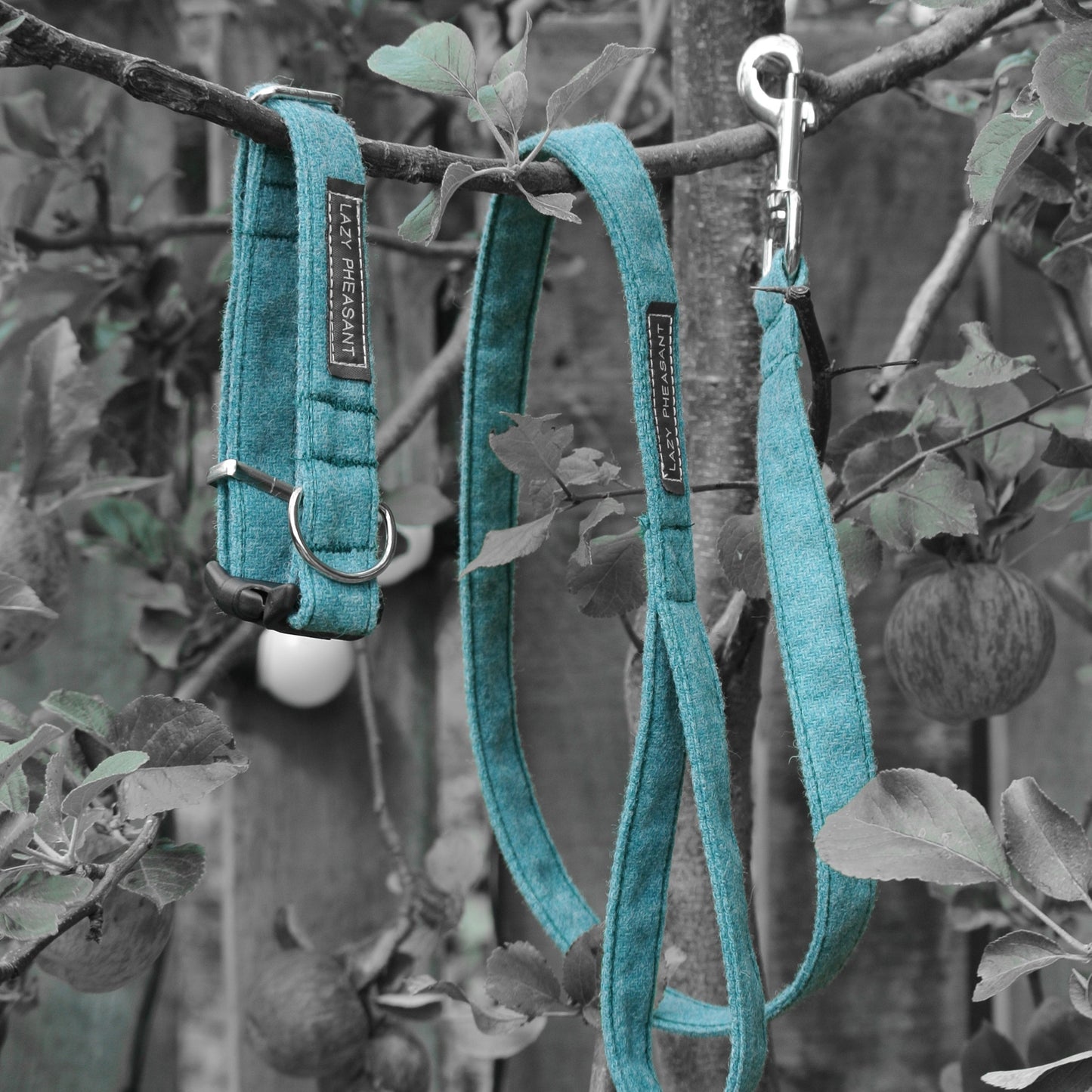 Tweed Dog Collar - Turquoise