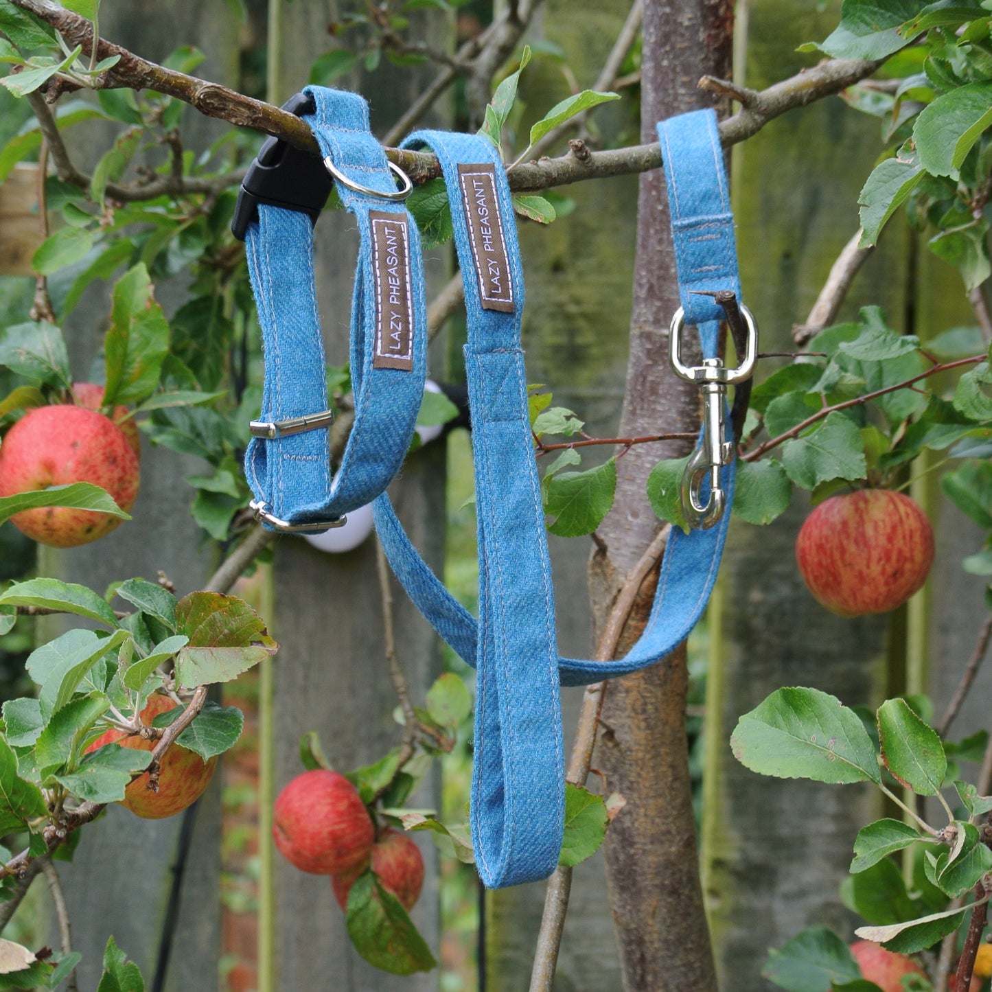 Tweed Dog Lead - Sky Blue